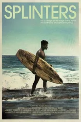 Splinters 2011 постер