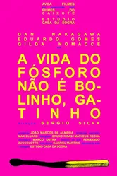 A Vida do Fósforo Não É Bolinho, Gatinho постер