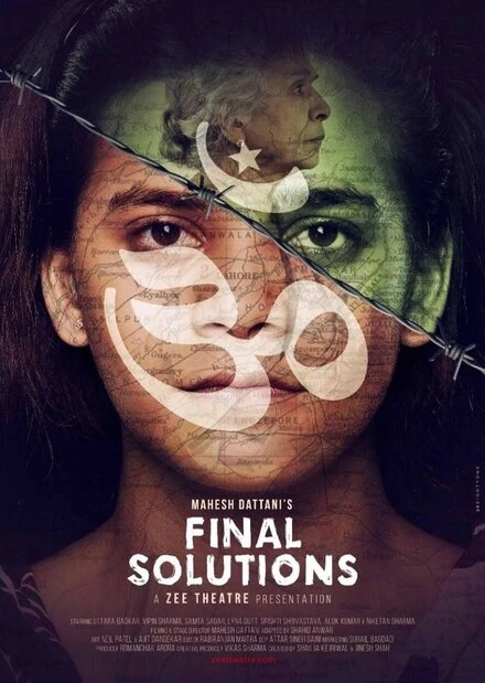 Постер Final Solution