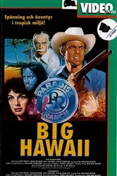 Big Hawaii постер