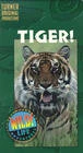Постер Tiger!