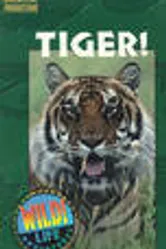 Tiger! постер
