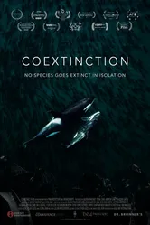 Соисчезновение 2021 постер