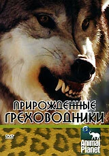 Постер Прирожденные греховодники 2003