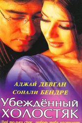 Убежденный холостяк 2001 постер