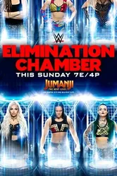 WWE Камера ликвидации 2020 постер