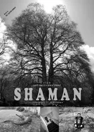 Shaman постер