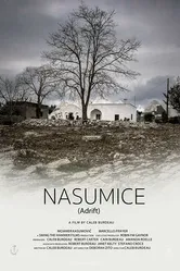 Nasumice постер
