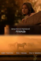 Лошадь 2016 постер