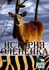 Постер История олененка 2003