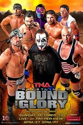 TNA Путь к славе 2012 постер