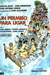 Разрешение на флирт 1980 постер