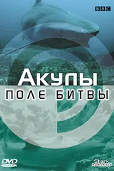 BBC: Акулы. Поле битвы 2002 постер