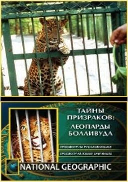 Постер НГО: Тайны призраков: Леопарды Болливуда 2002