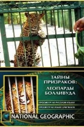 НГО: Тайны призраков: Леопарды Болливуда 2002 постер