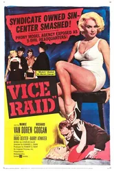 Vice Raid постер