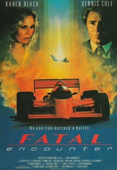 Постер Fatal Encounter 1990