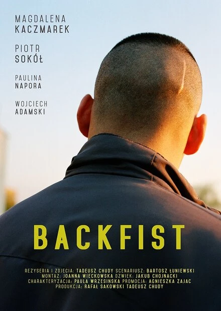 Постер Backfist
