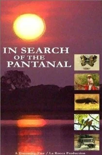 Постер In Search of the Pantanal