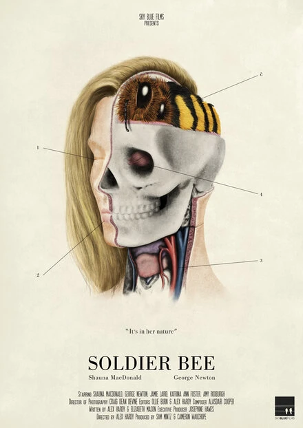 Постер Soldier Bee