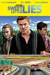 Маленькая ложь 2011 постер