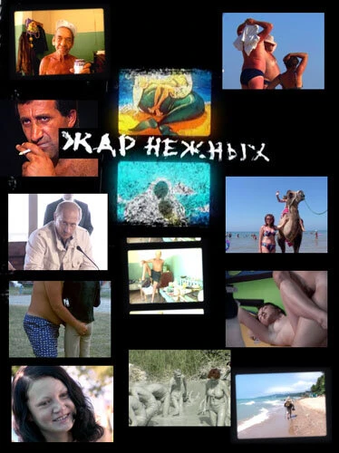 Постер Дикий, дикий пляж. Жар нежных 2005
