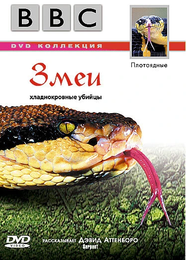 Постер BBC: Змеи 2003