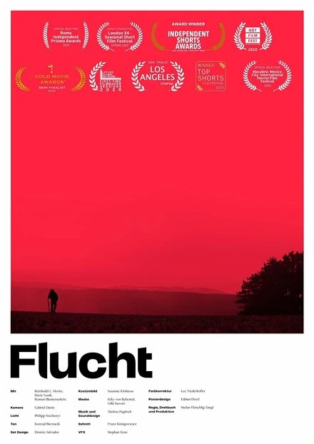 Постер Flucht 2020