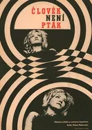 Человек не птица 1965 постер