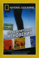 Невероятные мгновения 2003 постер
