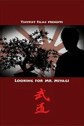 Looking for Mr. Miyagi постер