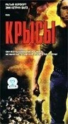 Постер Крысы 2001, Чехия