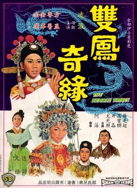 Постер Shuang feng ji yuan