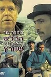 Отважный детектив Шварц 1973 постер