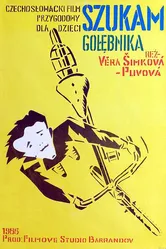 Hledám dum holubí постер