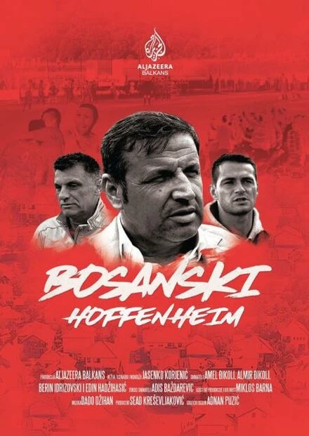 Постер Bosanski Hoffenheim