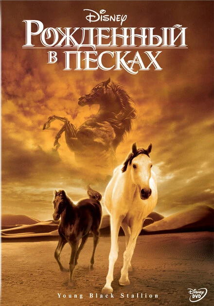 Постер Рожденный в песках 2003