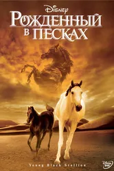 Рожденный в песках 2003 постер