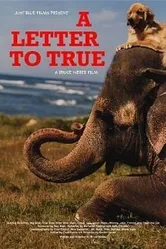 A Letter to True постер