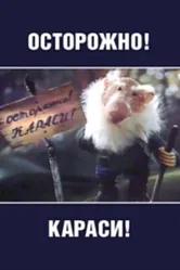 Осторожно, караси! 1987 постер