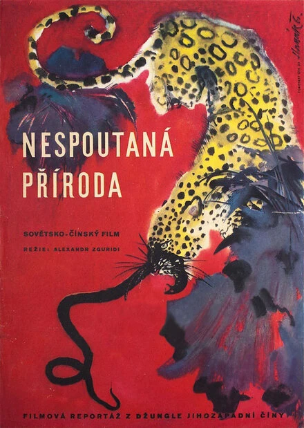 Постер Тайны природы 1950