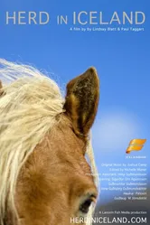 Herd in Iceland постер