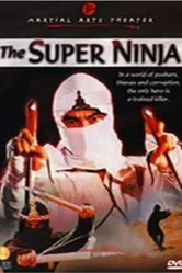 Отряд ниндзя — невидимые убийцы 1984 постер