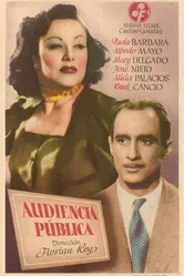 Audiencia pública постер