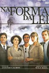 В форме закона 2010 постер
