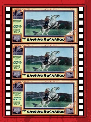 Постер The Singing Buckaroo