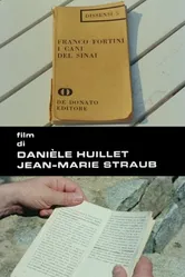 Собаки Фортини 1976 постер