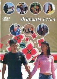 Постер Раненое чувство 2007