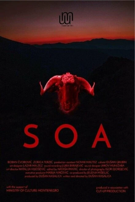 Постер Soa