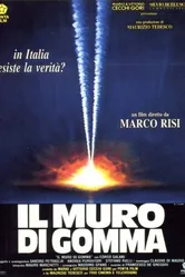 Невидимая стена 1991 постер